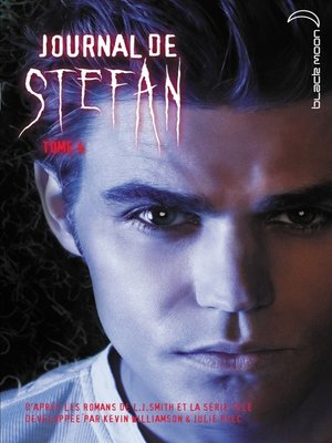 cover image of Journal de Stefan 4
